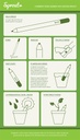 Comment faire germer son crayon