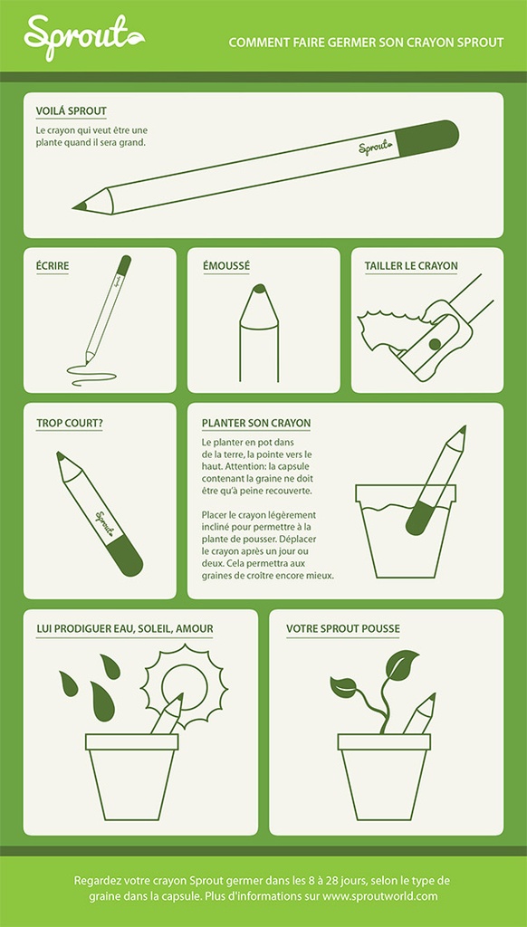Comment faire germer son crayon