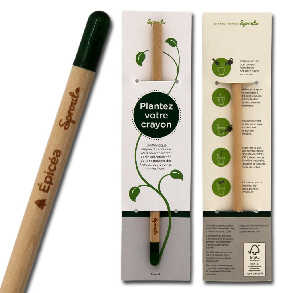 Crayon à planter Epicéa
