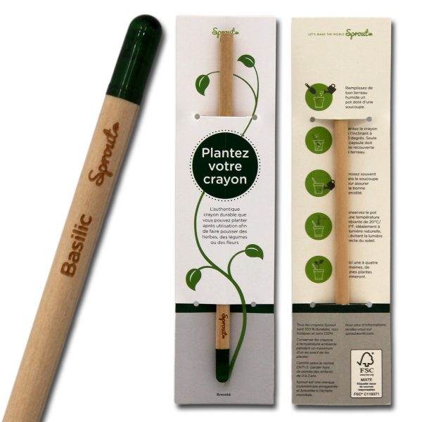 Crayon à planter Basilic