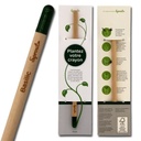 Crayon à planter Basilic