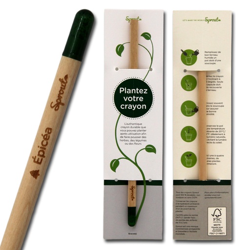 [CAG011] Crayon à planter Epicéa
