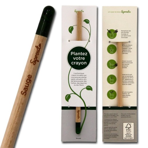 [CAG005] Crayon à planter Sauge