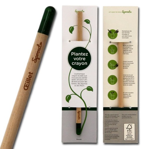 [CAG007] Crayon à planter Oeillet