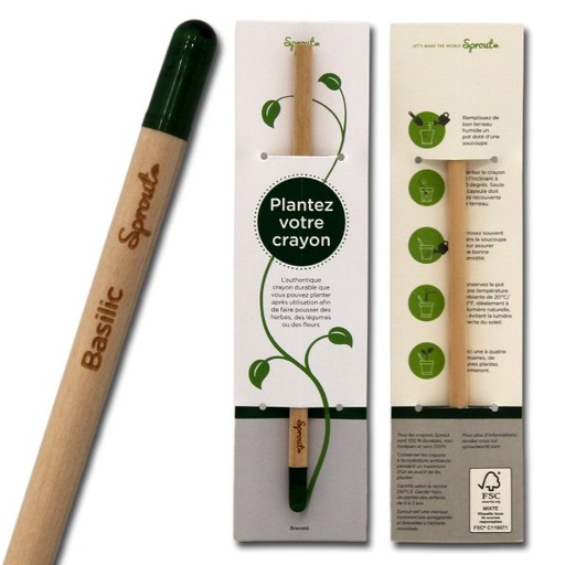 [CAG010] Crayon à planter Basilic